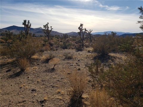 20576 N Golden Arrow Avenue White Hills AZ 86445