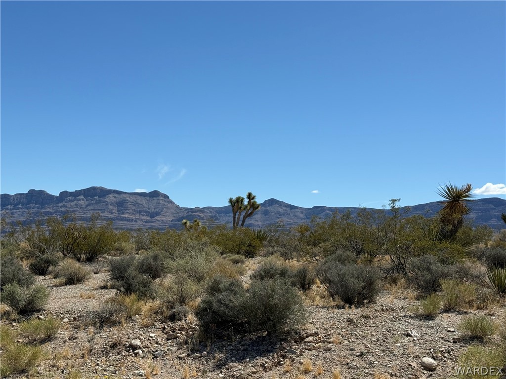 28268 Deadwood Drive