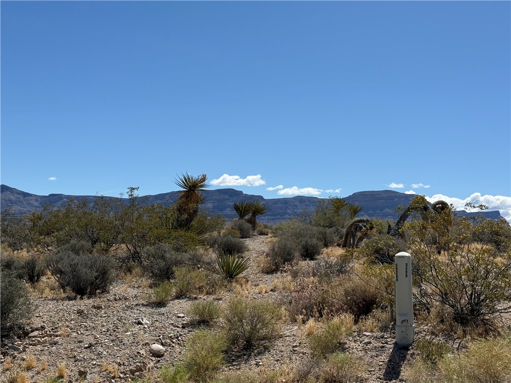 28268 Deadwood Drive