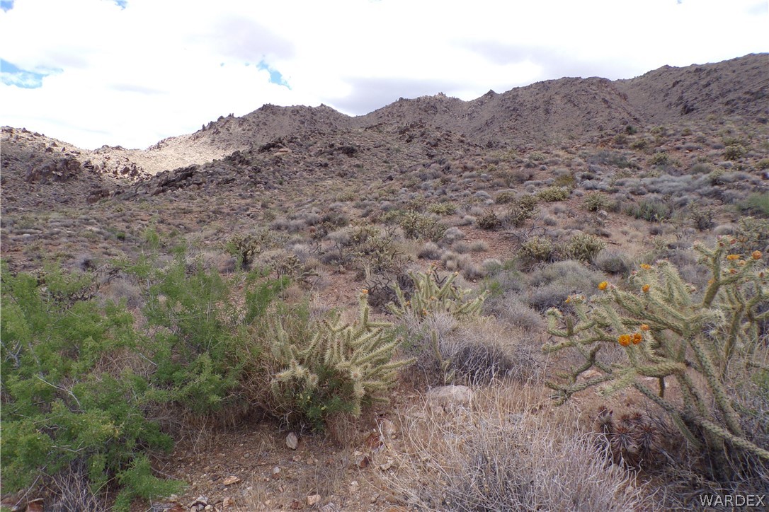 330-25-040 W Castle Springs Road