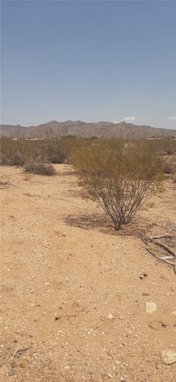 000 N Chino Drive Lot 40