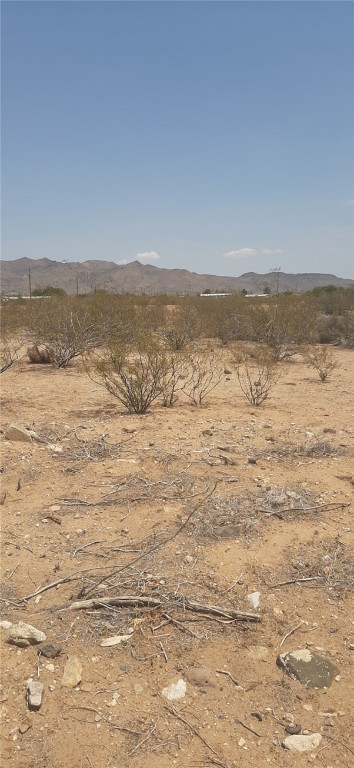 000 N Chino Drive Lot 40