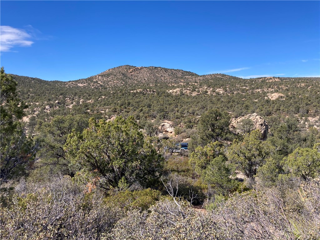 353-02-015 E Mystic Canyon Rd.