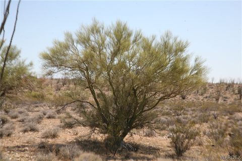 F15 & 16 Lorton Drive Yucca AZ 86438