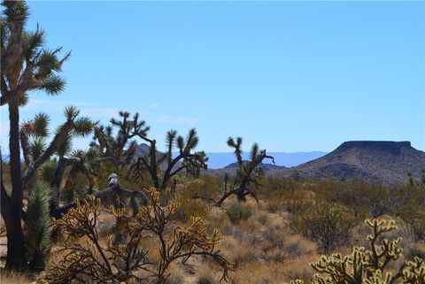 Lot 3 Bush Road Yucca AZ 86438
