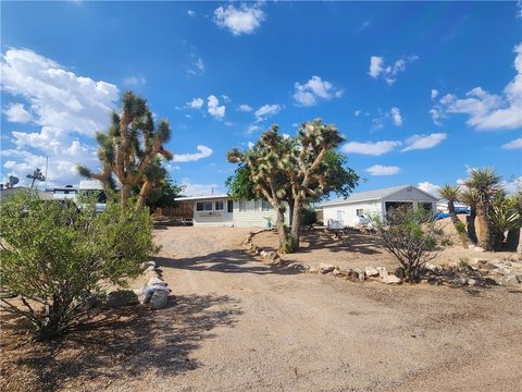 20 W Grand Wash Drive Meadview AZ 86444