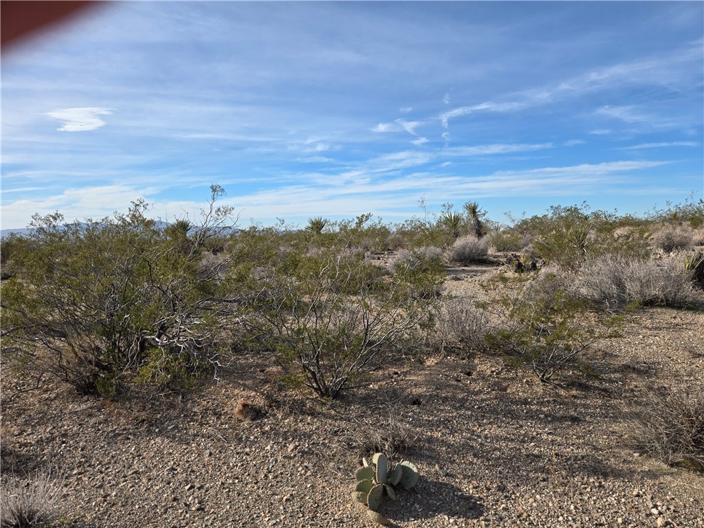 17447 N Magnolia Dr 18