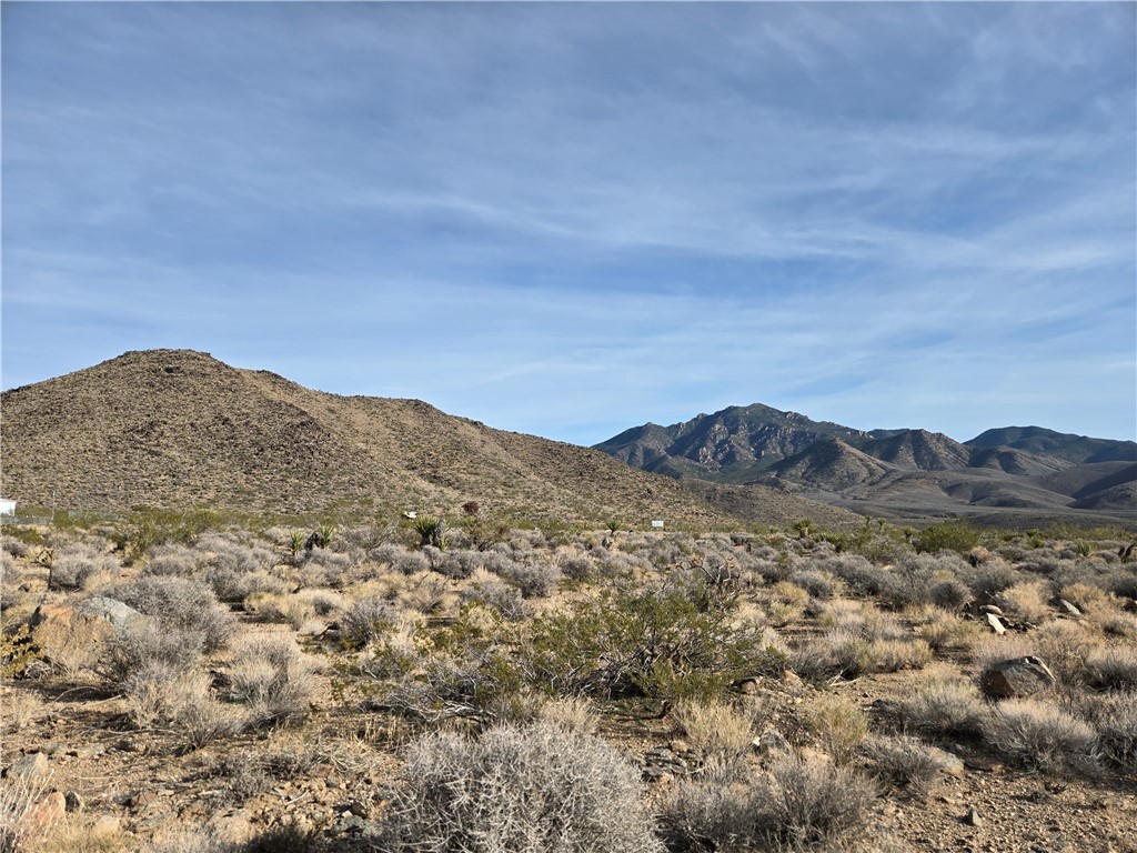 17447 N Magnolia Dr 18