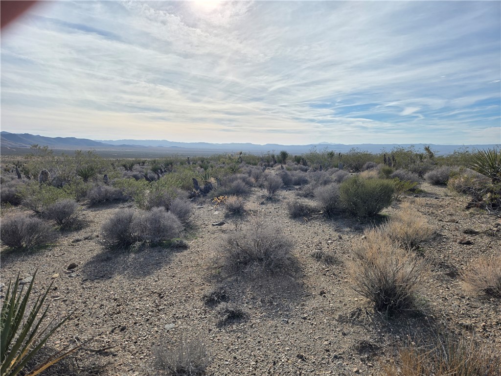 17447 N Magnolia Dr 18