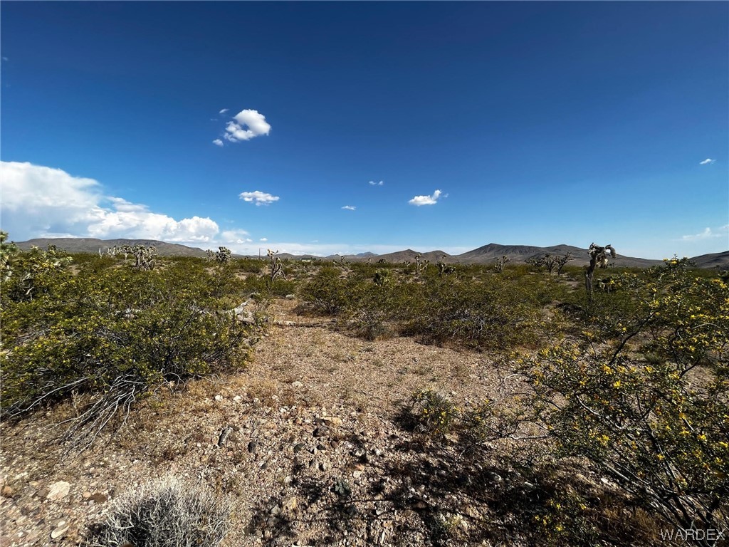 8900 W Vista Verde Drive