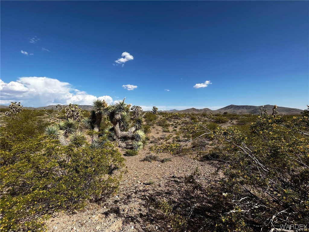 8900 W Vista Verde Drive