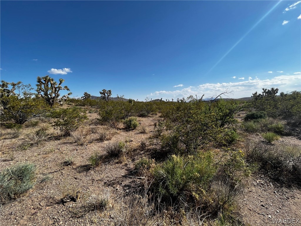 8900 W Vista Verde Drive