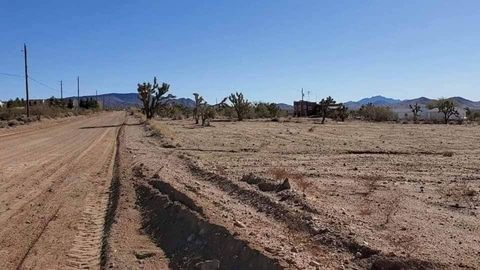 21284 N Ventura Drive White Hills AZ 86445