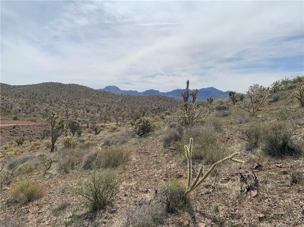 54 W Red Willow Springs Road