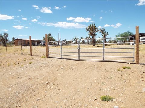 18677 N Remuda Drive Dolan Springs AZ 86441