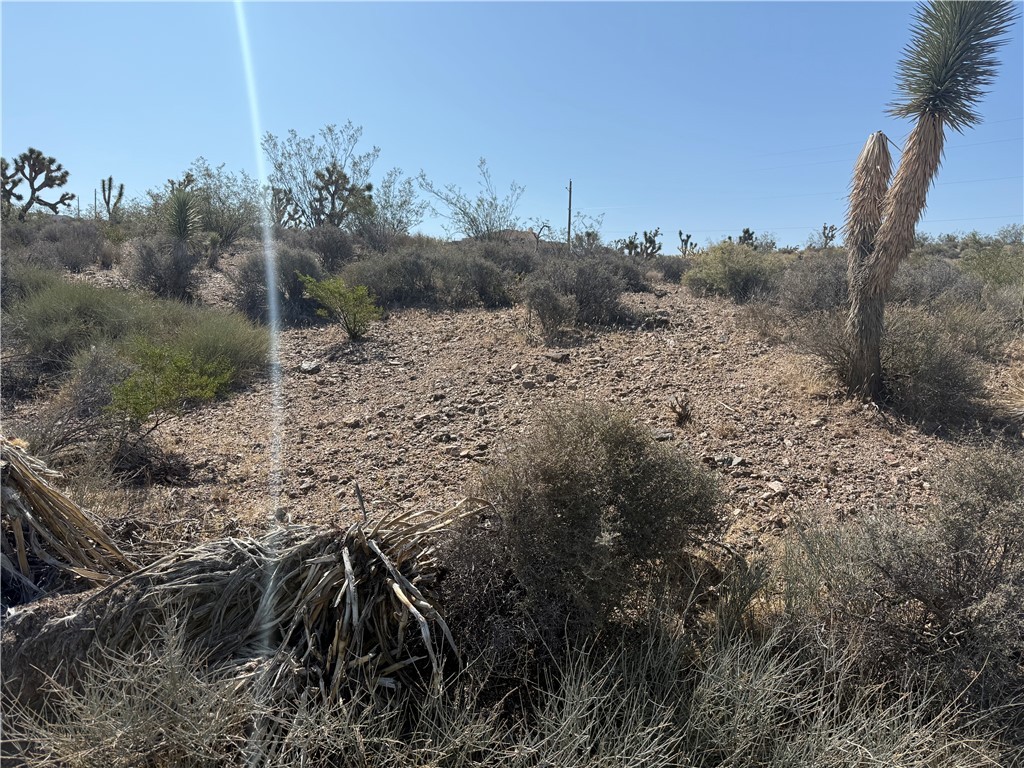 8124 Rio Vista Drive