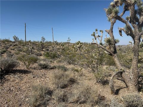 8124 Rio Vista Drive White Hills AZ 86445