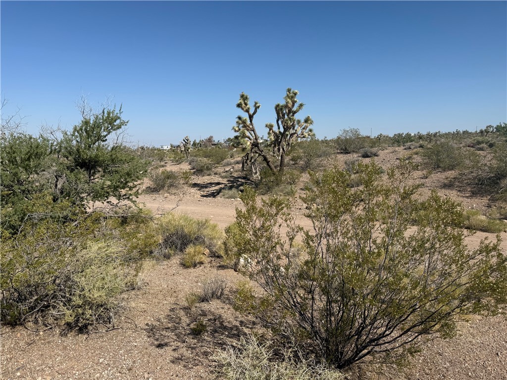 8124 Rio Vista Drive