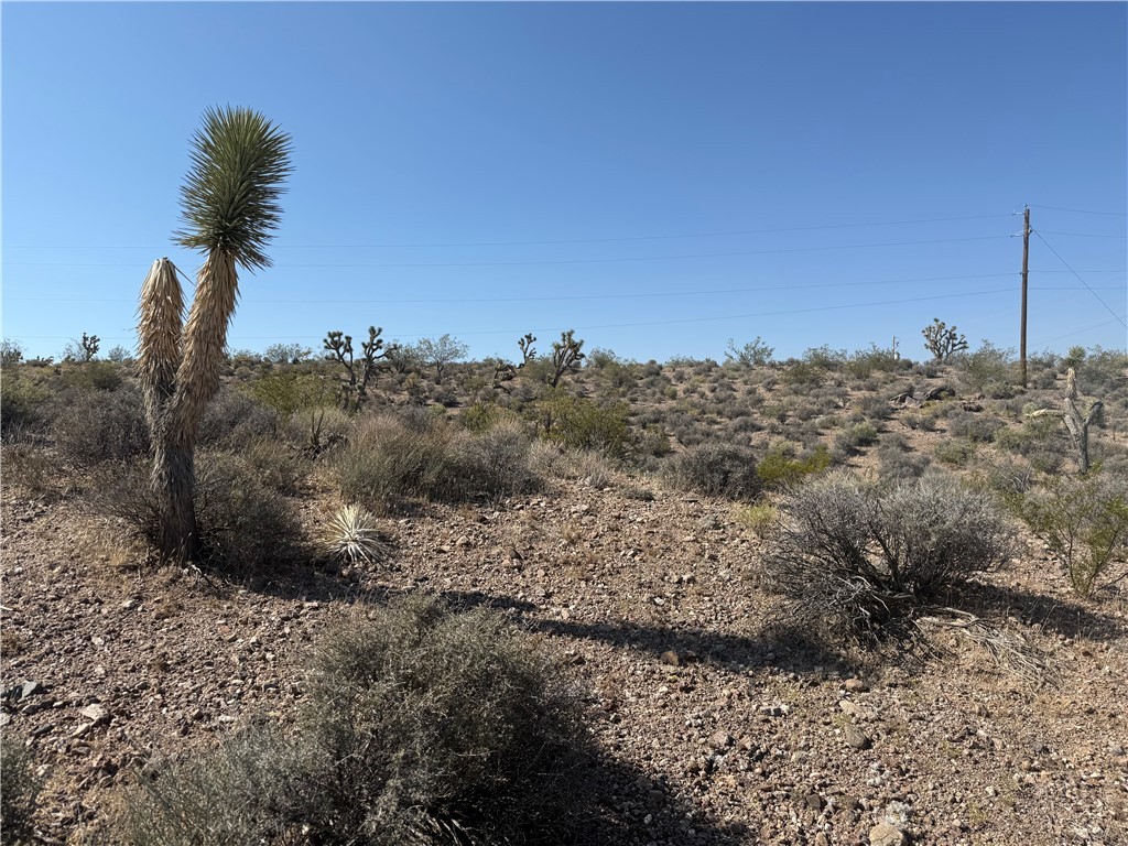 8124 Rio Vista Drive