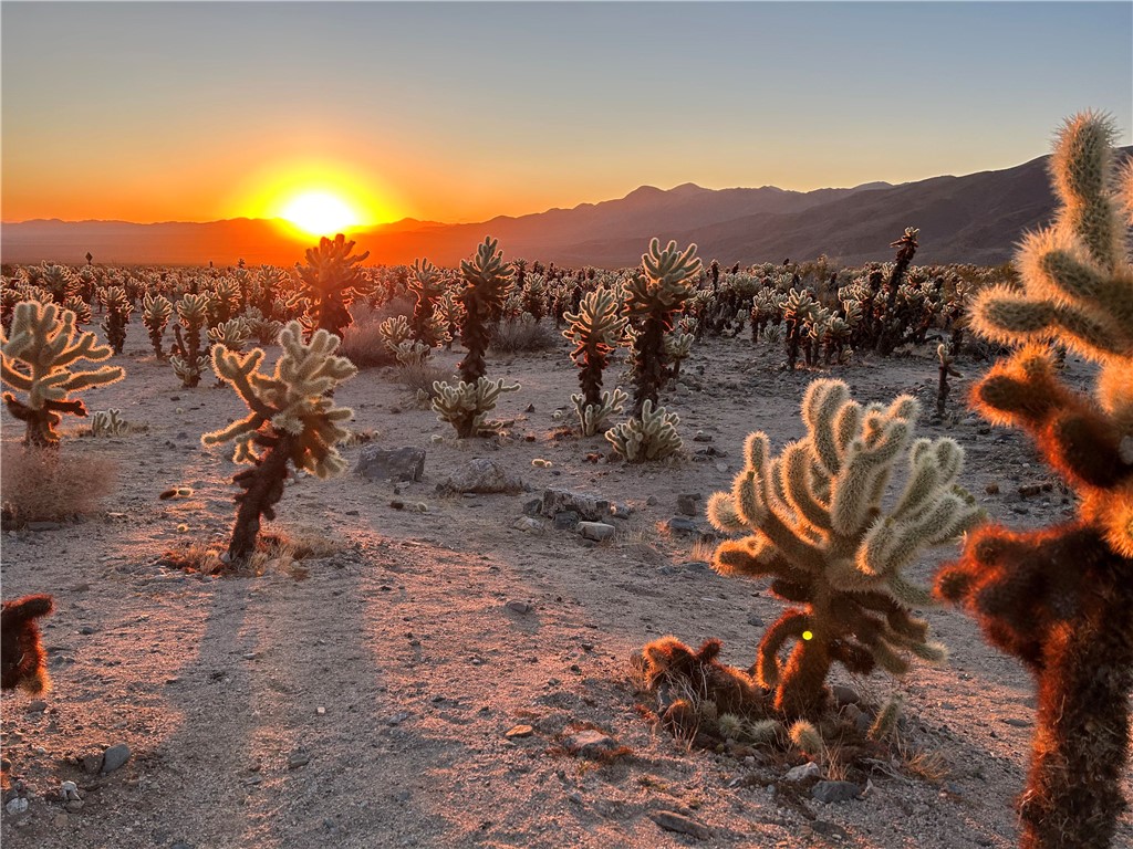 8878 W Leonard Drive