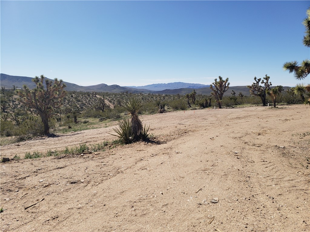 21115 N Madera Drive