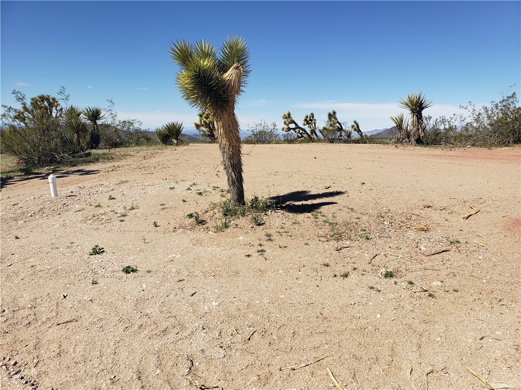 21115 N Madera Drive