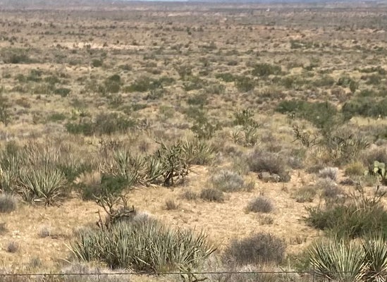 WATERTANK RD 213A, KINGMAN, AZ 86409 - Image b48f0de758ea3aae237ea37fb43bcaca/173757295