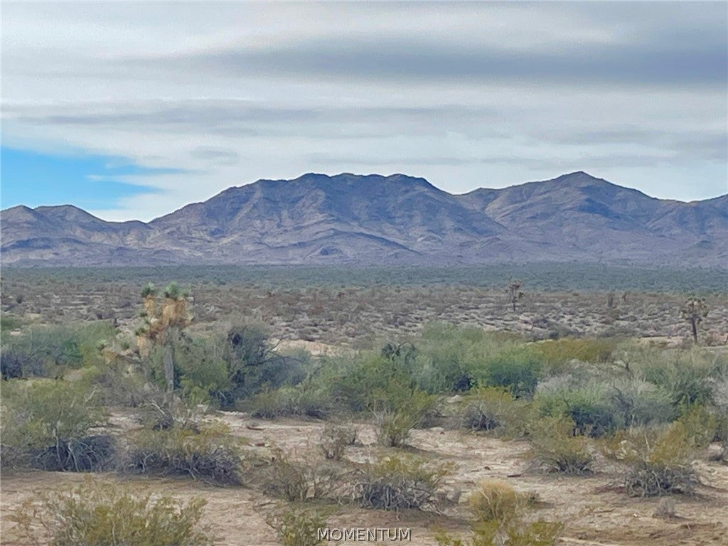 123-20-011 S Lone Ranger