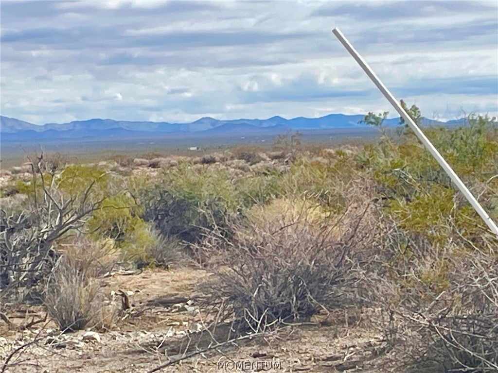 123-20-011 S Lone Ranger