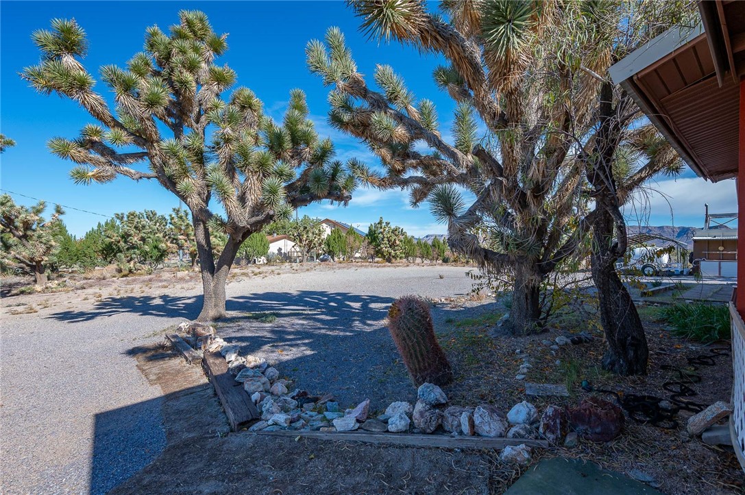 26226 N Tamarisk Street