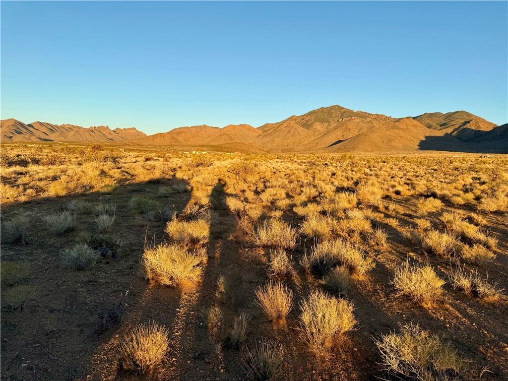 LOT 185 JASPER Drive