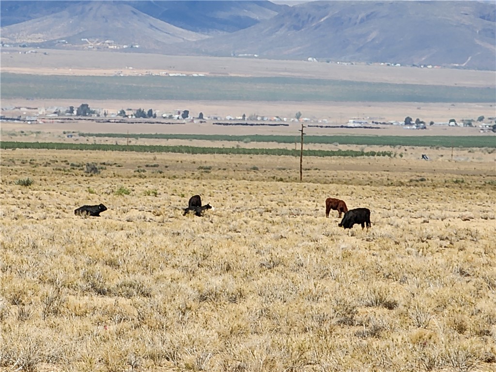 Lot 7D N Arrow Drive