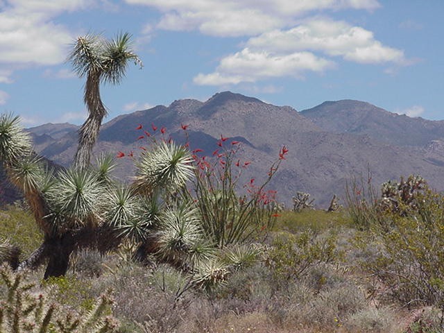 242-03-005 S Sundance Kid Road
