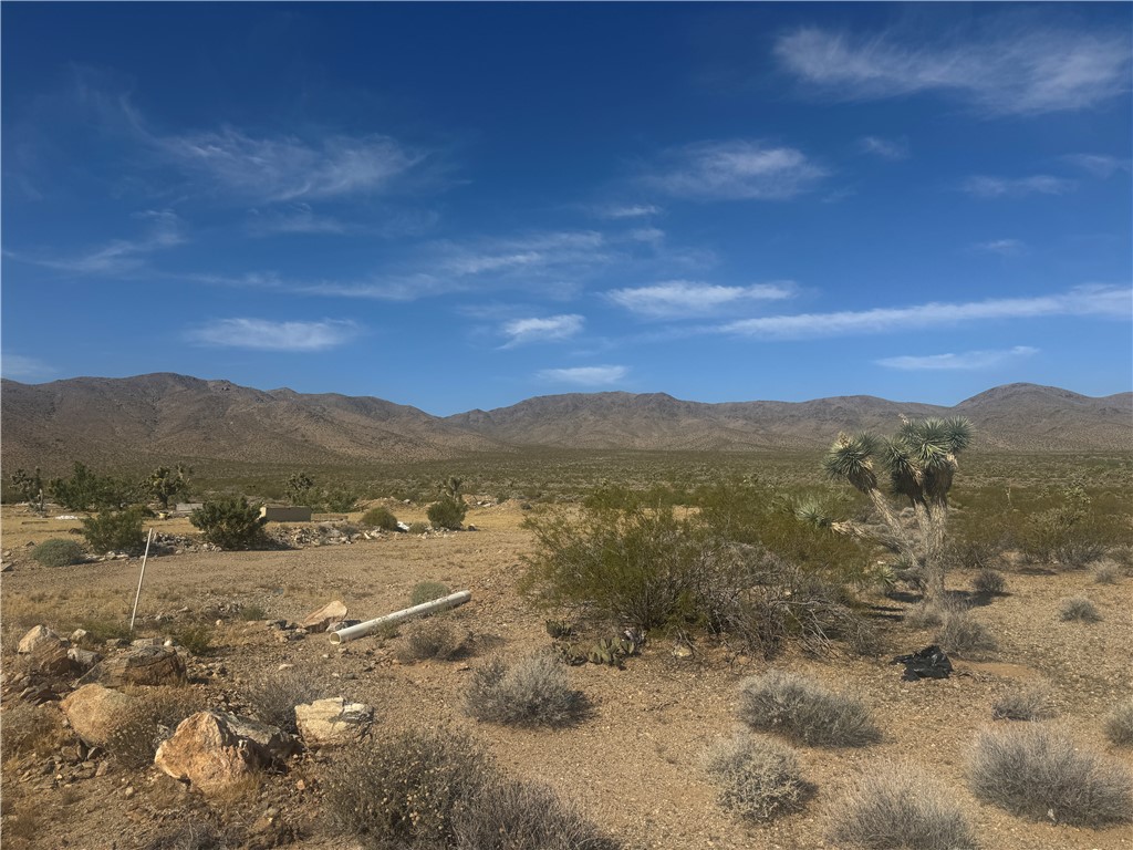 33701035 W Acanthus Drive