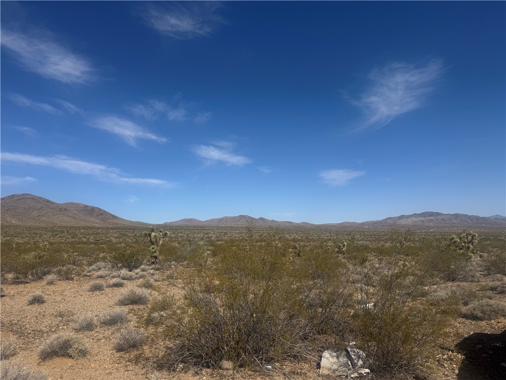 33701035 W Acanthus Drive