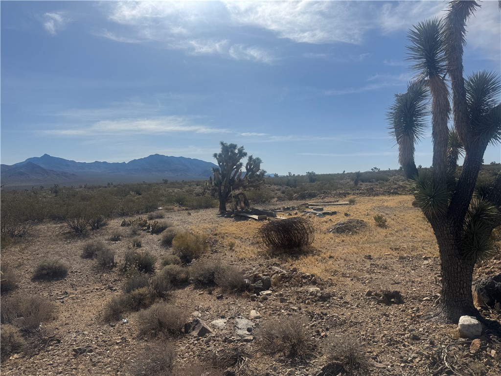 33701035 W Acanthus Drive