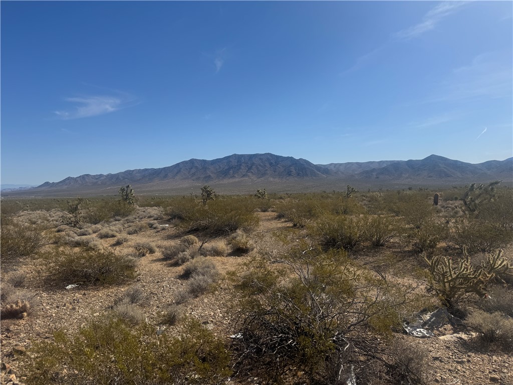33701035 W Acanthus Drive