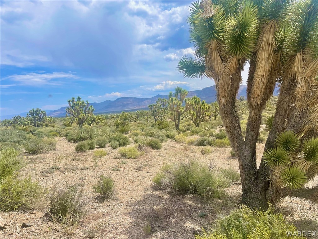 336-05-033 240 Acres