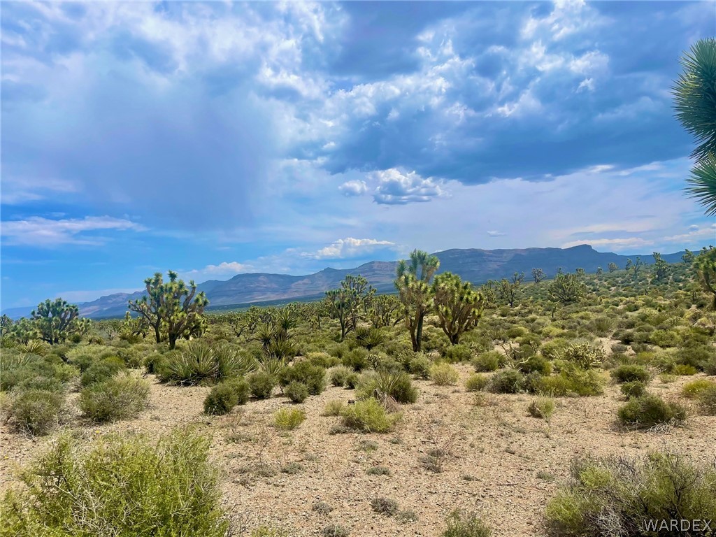 336-05-033 240 Acres