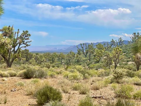 336-05-033 240 Acres Meadview AZ 86444