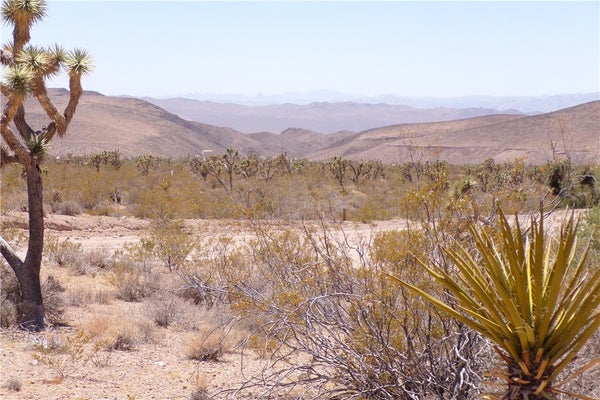 8577 W INDIAN PEAK DR, WILLOW BEACH, AZ 86445 - Image ca2cb88b3cb2153ebe5ea30d2eb412a8/902341321