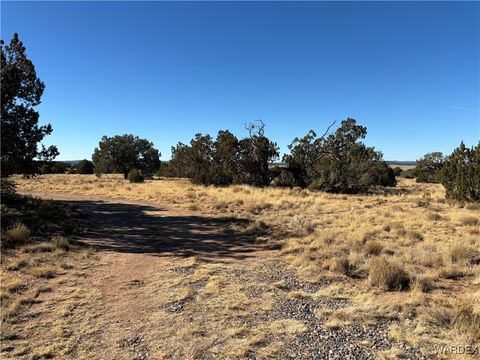 A home in Seligman