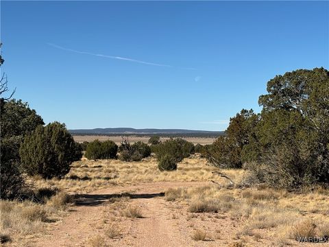 A home in Seligman