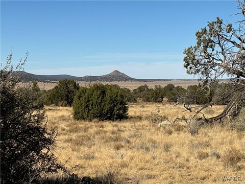 A home in Seligman