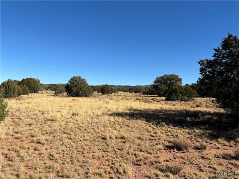 A home in Seligman