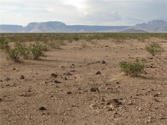 210-43-051 POLARIS ROAD, TOPOCK, AZ 86436 - Image d65d3faf8da49e054a88c6901cae6be2/1872921308