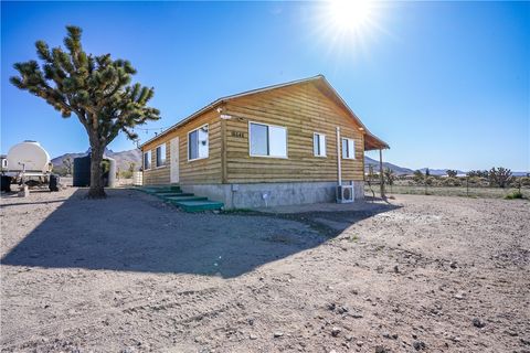 16548 N Kitmit Drive Dolan Springs AZ 86441