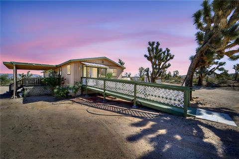 18852 N Spur Drive Dolan Springs AZ 86441