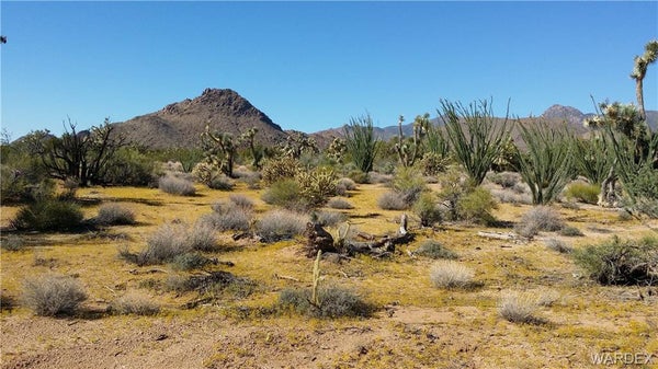 94900 S CATTLE CROSSING ROAD, YUCCA, AZ 86438 - Image dfad483ea18c5fc7eead7e18c5c355f1/1250099595