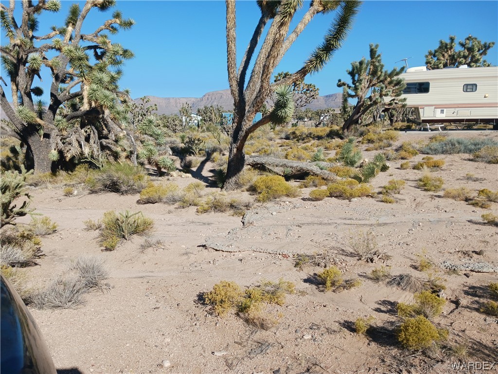 26446 N Driftwood Drive